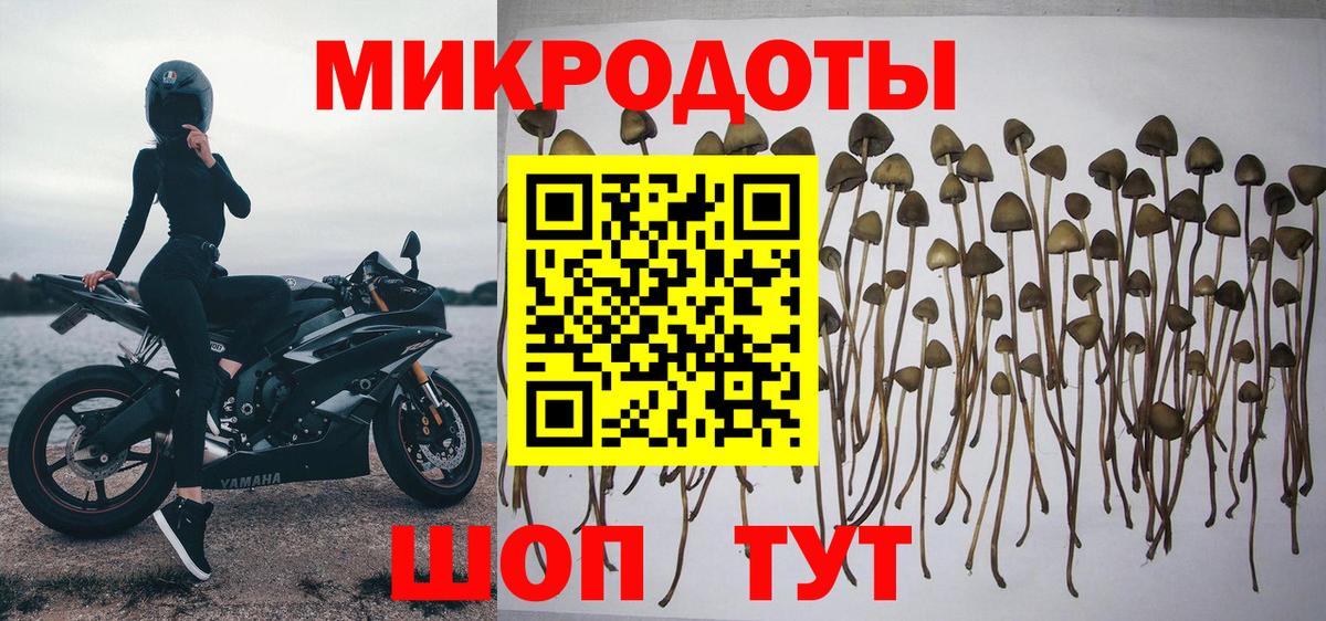 Вязьма  Галлюциногенные грибы MAGIC MUSHROOMS  Вход с VPN 